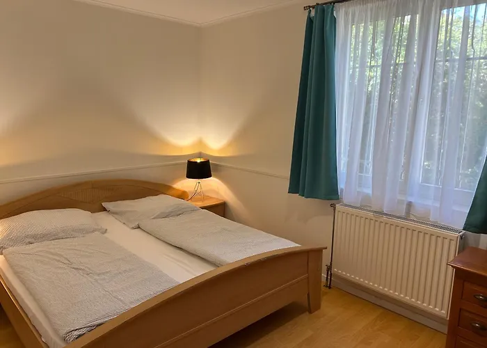 Zita Haz שיופוק