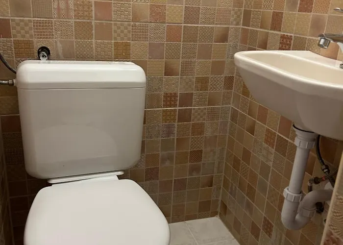 Zita Haz * שיופוק