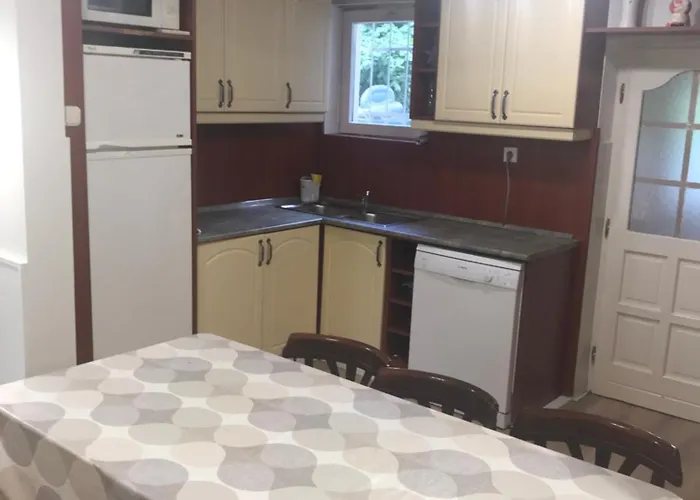 Zita Haz שיופוק